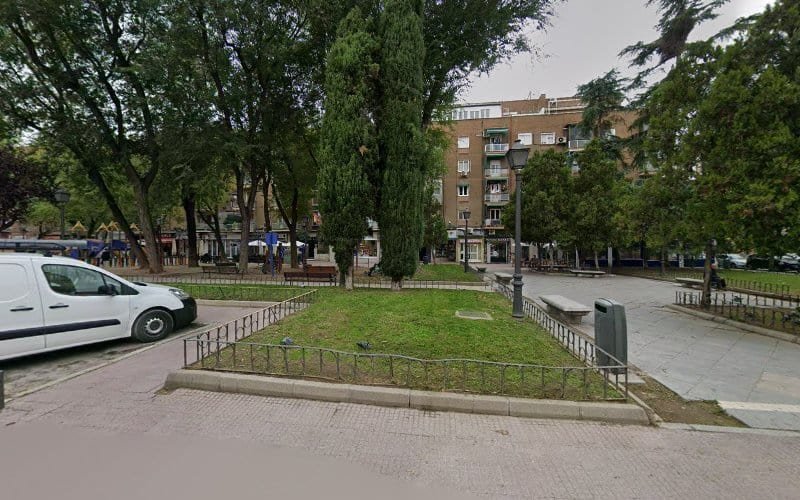 Area-de-Ejercicios-de-Mayores