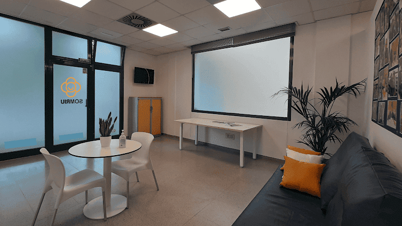 CAE-SOMRIU-Projectes-i-serveis-amb-les-Capacitats