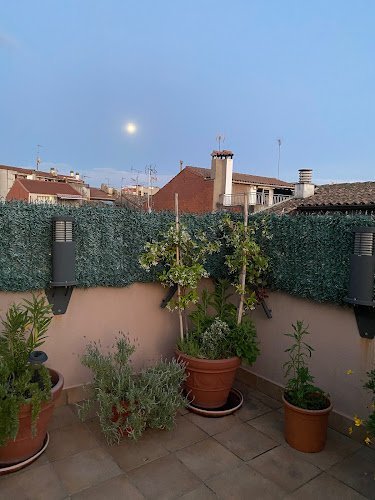Centro-De-Servicios-Asistenciales-Amanecer