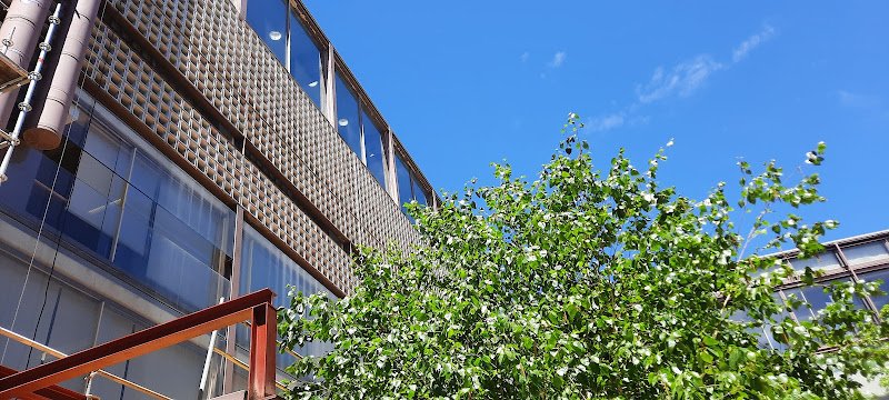 Centro-Municipal-de-Mayores-Benito-Martin-Lozano