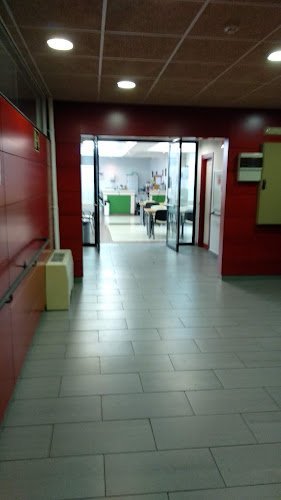 Centro-Municipal-de-Mayores-Villalonso