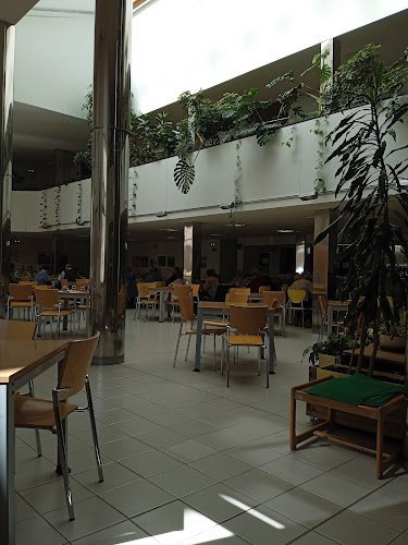 Centro-de-Dia-Para-Personas-Mayores-Getafe-I