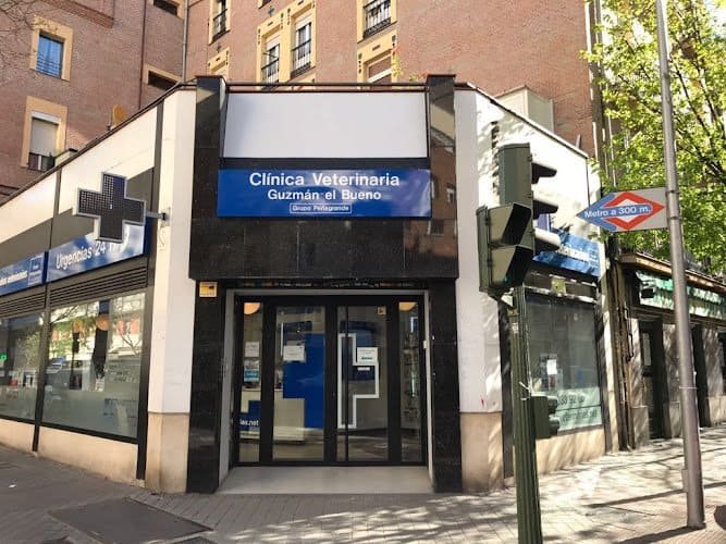 Clinica-Veterinaria-Guzman-el-Bueno-Grupo-Penagrande