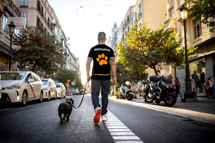 DOS-Adiestramiento-canino-en-Madrid