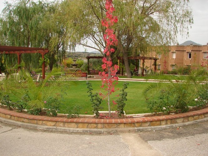 Fundacion-Lopez-Rumayor