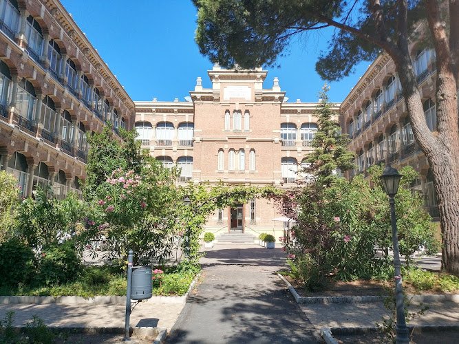 Fundacion-Santisima-Virgen-y-San-Celedonio