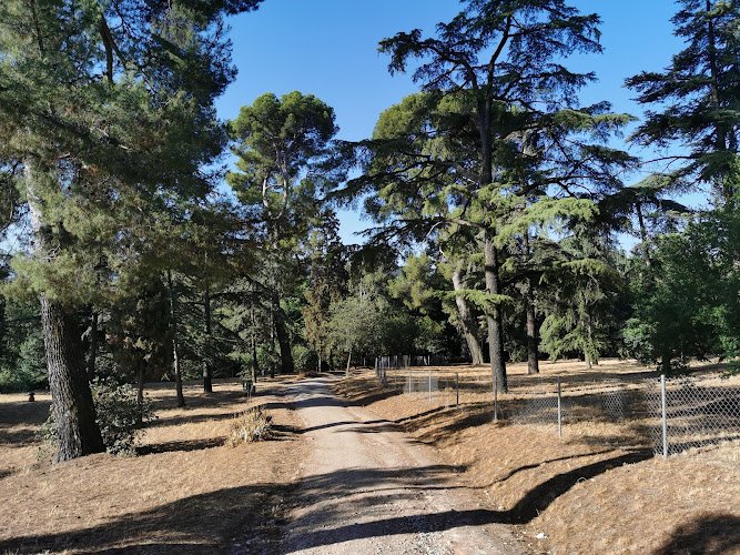 Penas-Albas