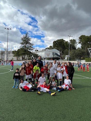 Polideportivo-de-Cobena