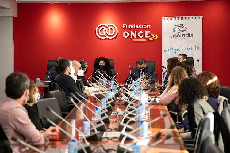 ASEMDIS-Asociacion-Emprendimiento-y-Discapacidad