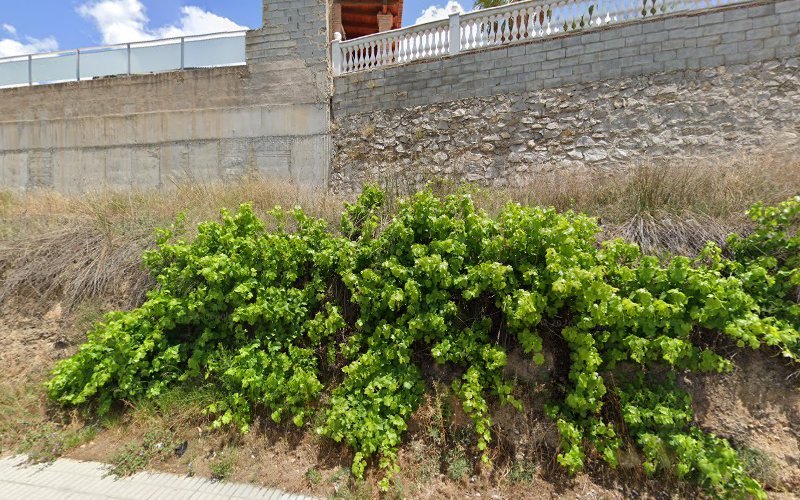 Andaluza-De-Servicios-Sociales-S-L