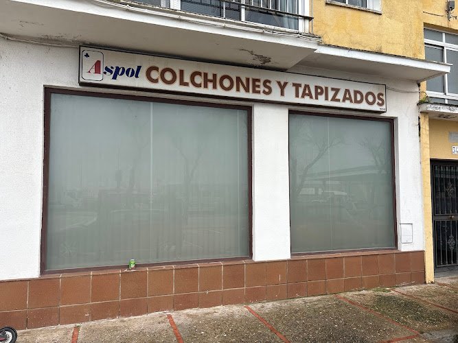 Asociacion-La-isla-verde-del-sur