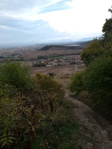 Asociacion-Universitaria-Altube