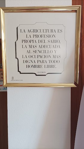 Asociacion-de-Familiares-de-Enfermos-de-Alzheimer-y-Otros-Problemas-Neurologicos-Derivados-de-la-Edad-Merindades
