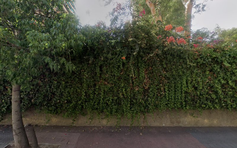 Asociacion-la-Traina-de-El-Palo