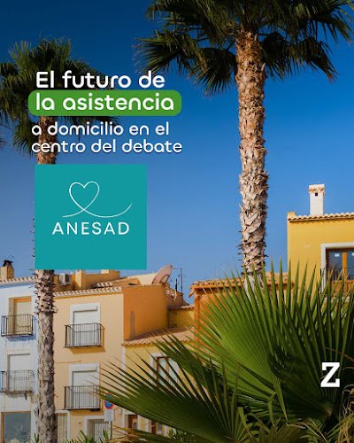 Ayuda-a-domicilio-en-Valencia-Asistenzia