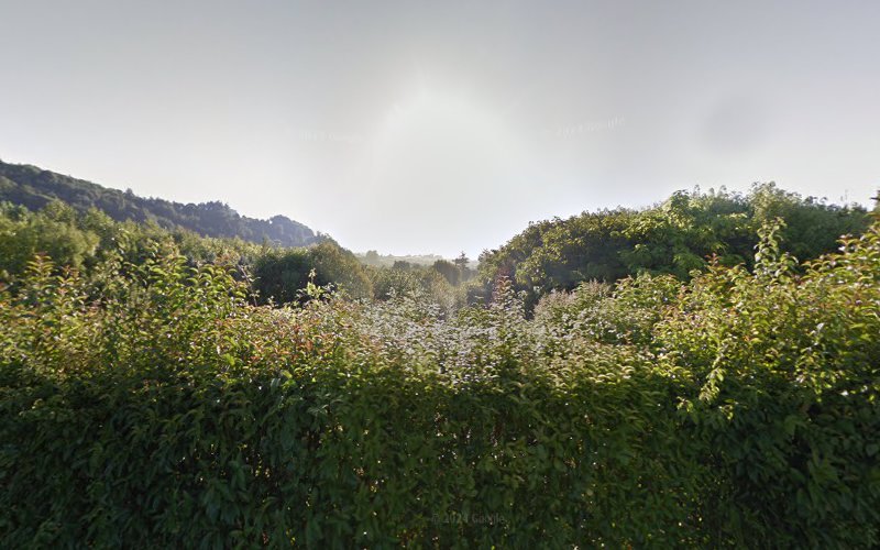 Bista-Eder-Txibitena