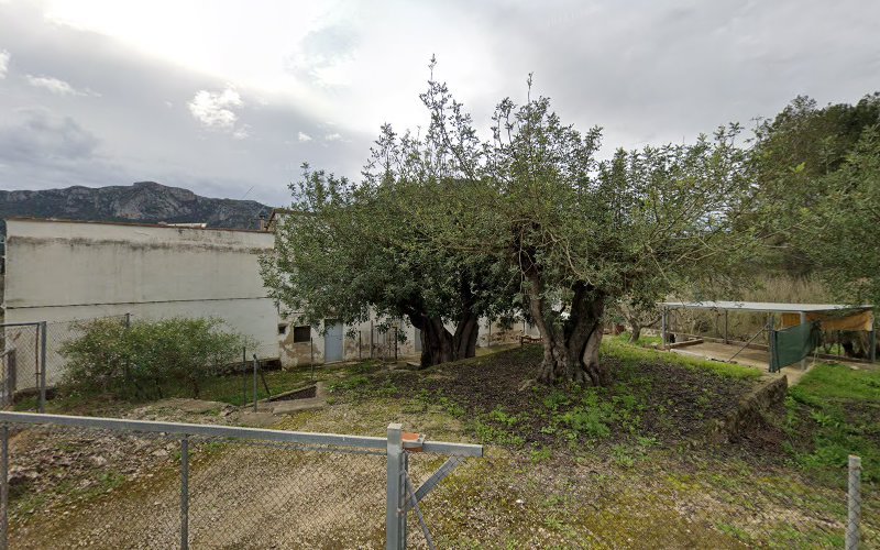 Cami-Corrals-de-Rondo-Barri-Pla-de-Corrals-196-46759-Spain