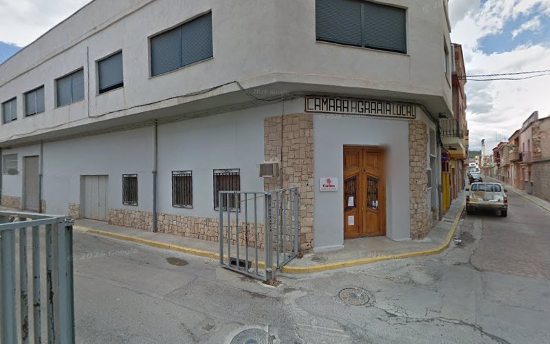 Caritas