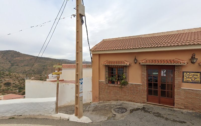 Caritas-Diocesanas