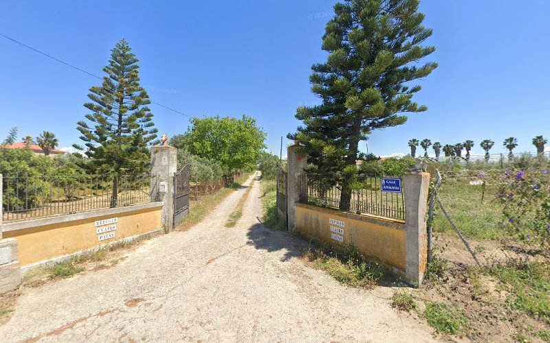 Casa-Isabel-paciente