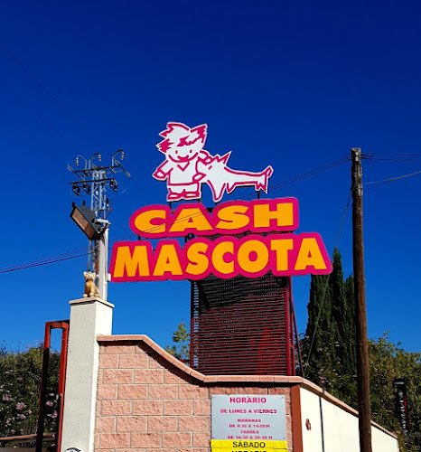 Cash-Mascota