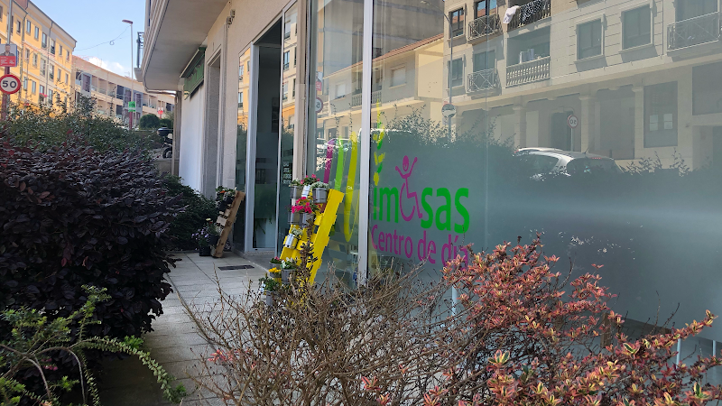 Centro-de-Dia-Mimosas