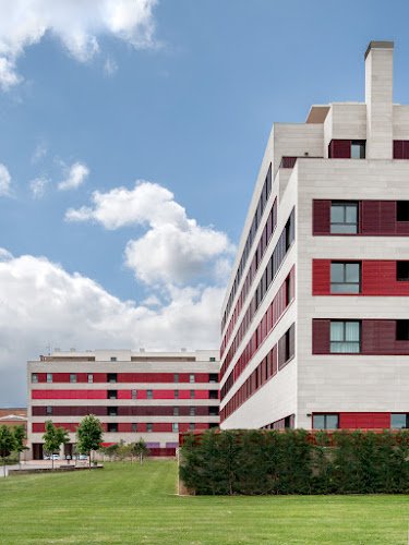 Centro-de-Dia-de-Manzanera