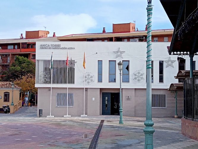 Centro-de-Participacion-Activa-Anica-Torres