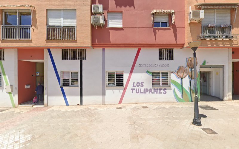 Centro-de-dia-Los-Tulipanes