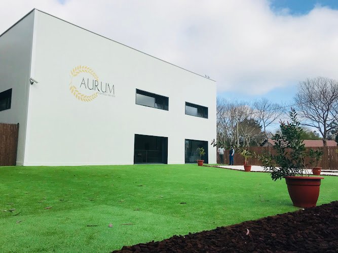 Centro-de-dia-Zas-Aurum