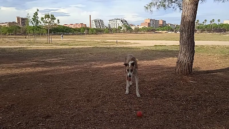 Complex-Parc-Central