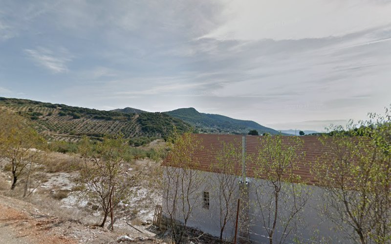 Cortijo-las-canarias