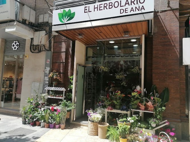 EL-HERBOLARIO-DE-ANA