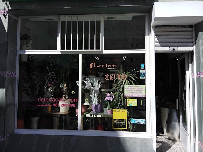 Floristeria-Calo