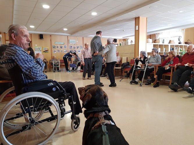 Fundacio-San-Andreu-De-Castellcir-Reside