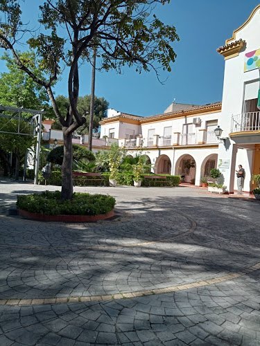 Fundacion-Olivares