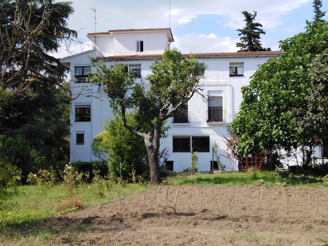 Fundacion-Virgen-De-La-Salud-Y-San-Camilo