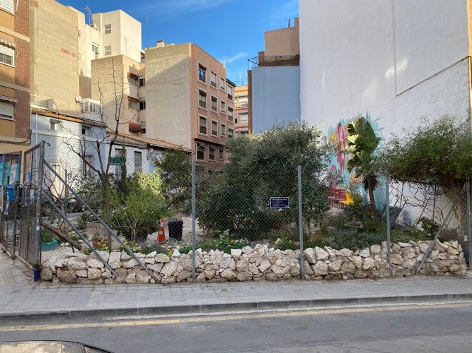 Hort-Comunitari-de-Carolines