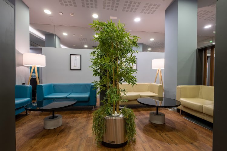 IVF-Life-Donostia-Instituto-Vasco-de-Fertilidad