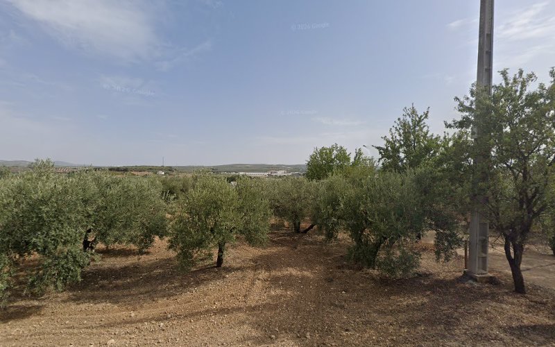 Los-llanos-parcela-173