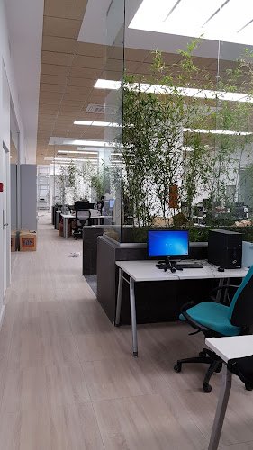 Necomplus