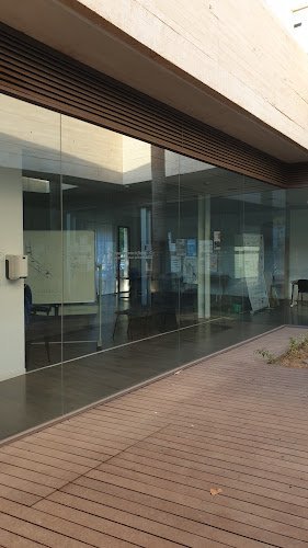 Plataforma-Voluntariado-Malaga