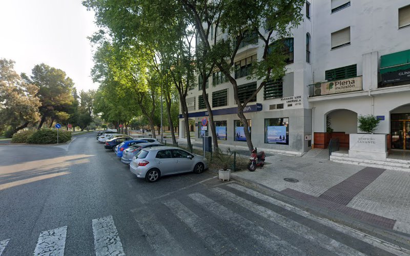 Plena-Inclusion-Andalucia