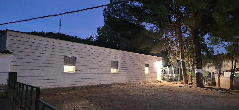 Residencia-Canina-Olea-Bulls
