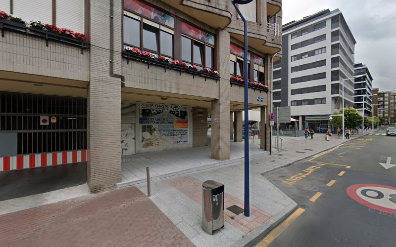 Residencia-Rodriguez-de-Andoin-V