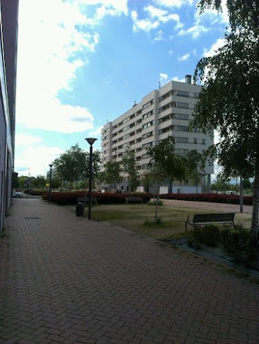 Residencia-Tagore-SLU