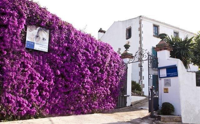 Residencia-geriatrica-i-Centre-de-dia-Loval