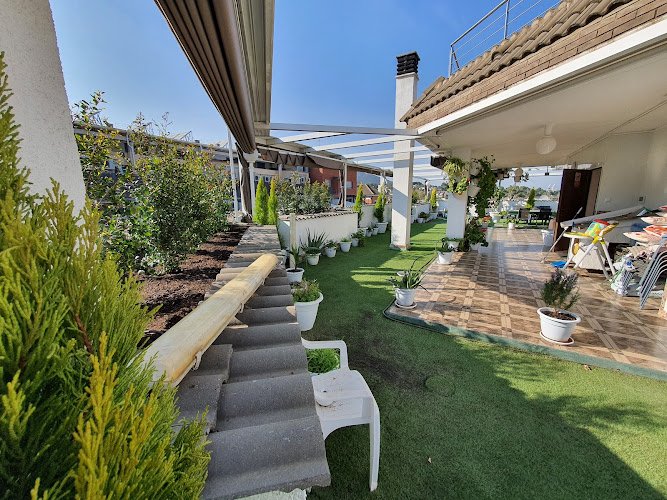 SIEMPRE-VERDE-BARCELONA