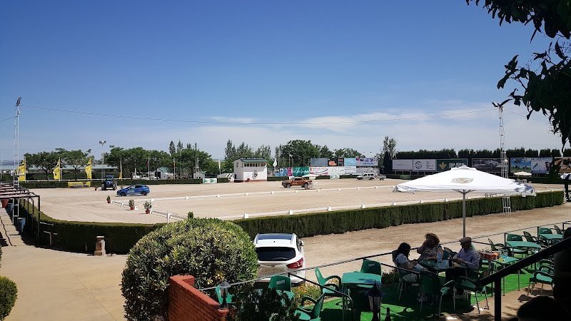 Safir-Club-Hipico-de-Cordoba