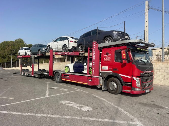 TCD-maxi-sl